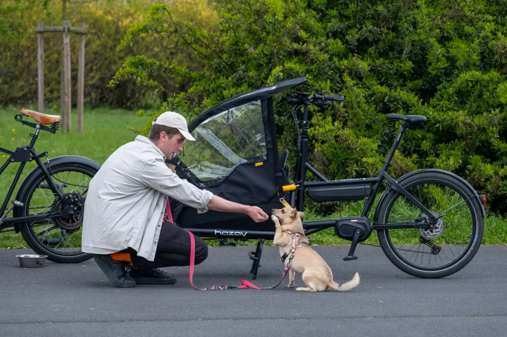 Cargo bike for transporting a dog