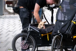 rower cargo dla psa hazay