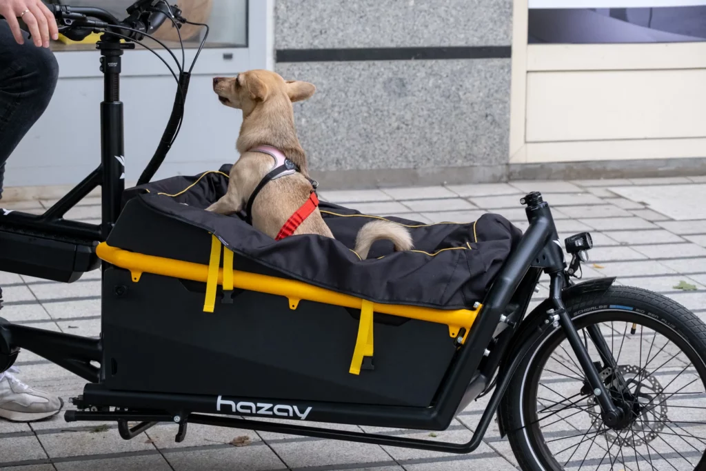hazay dog mount cargo bike